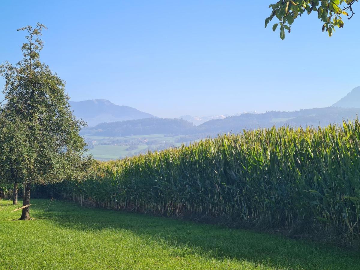 Familiy & Kids Suite Im Herzen Der Schweiz Dietwil Εξωτερικό φωτογραφία